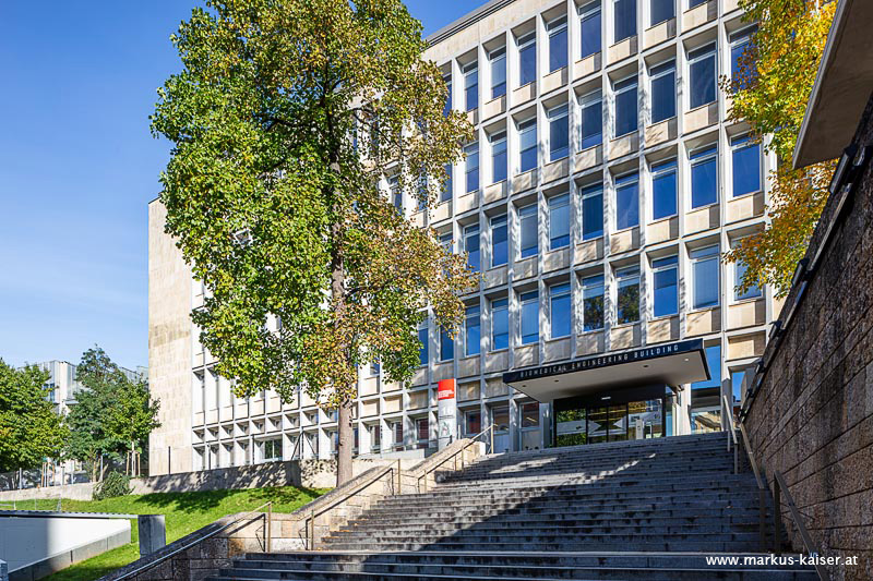 Modern multi-story university building with large windows and a wide staircase in the foreground, flanked by trees and a stone wall.